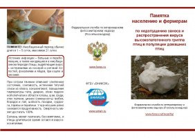 Грипп птиц