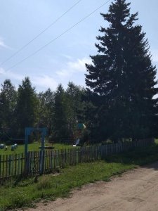 Арансахой. Лето. 2020 - 8