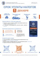 Срок уплаты налогов - 1 декабря