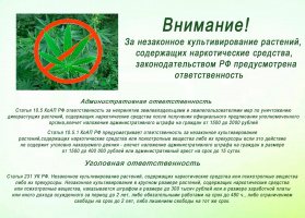 Внимание!