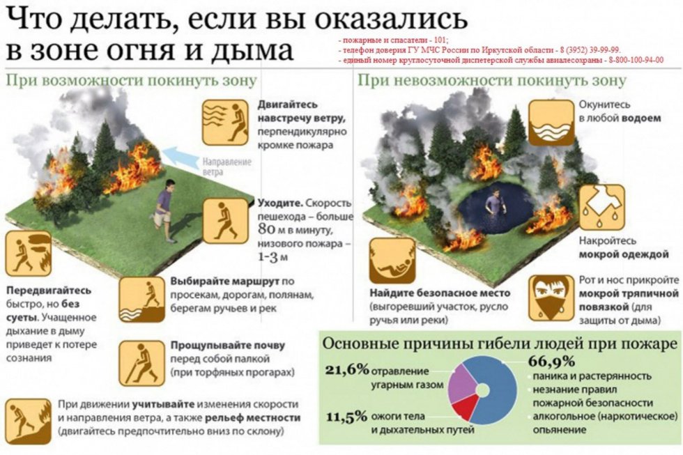 Памятка "Что делать, если вы оказались в зоне огня и дыма?"