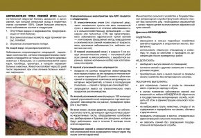 Профилактика заноса заболевания в свиноводческие хозяйства и индивидуальные подворья