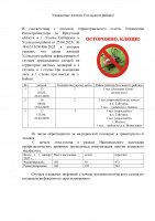 Осторожно, клещи!