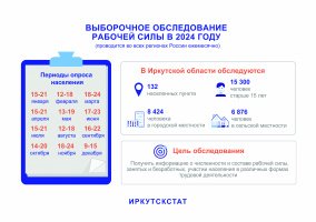 ВЫБОРОЧНОЕ ОБСЛЕДОВАНИЕ РАБОЧЕЙ СИЛЫ В 2024 ГОДУ
