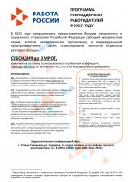 ПРОГРАММА ГОСПОДДЕРЖКИ  РАБОТОДАТЕЛЕЙ  В 2025 ГОДУ