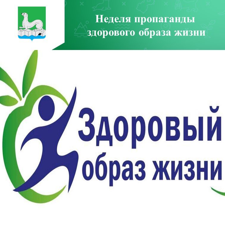 Здоровый образ жизни — это образ жизни человека, направленный на профилактику болезней и укрепление здоровья