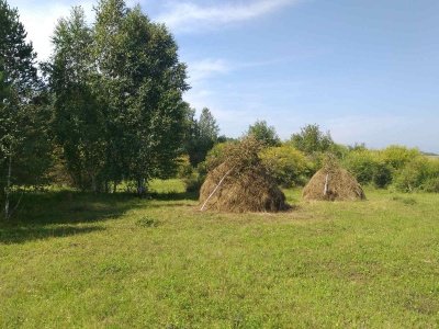 Арансахой. Лето. 2020 - 11