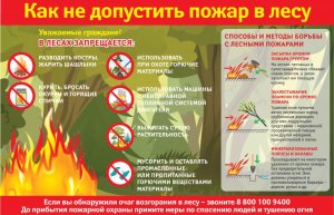 Памятка "Как нем допустить пожар в лесу?"