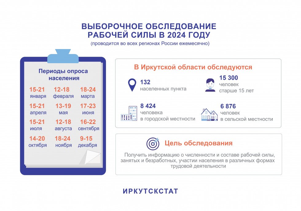 Выборочное обследование рабочей силы в 2024 году 