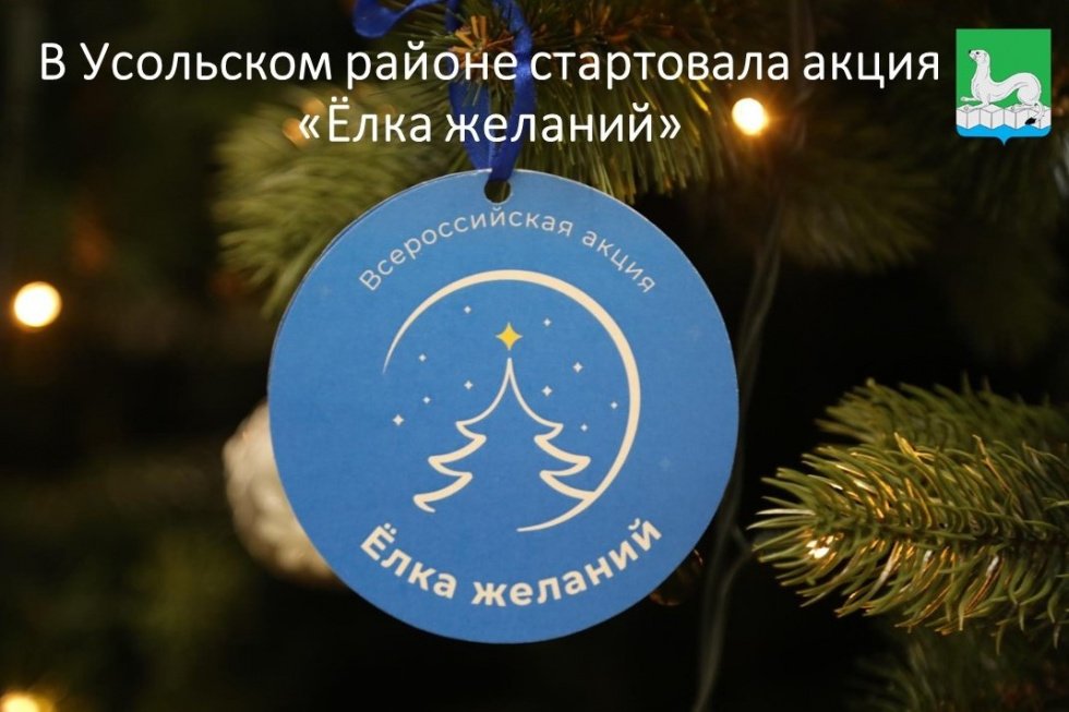 «Ёлка желаний» осуществит мечты. 