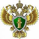 Порядок получения ежемесячных выплат из материнского капитала в связи с рождением (усыновлением) ребенка до достижения им возраста трех лет
