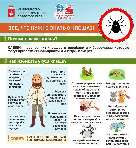 Всё, что нужно знать о клещах