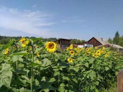 Арансахой. Лето. 2020 - 10