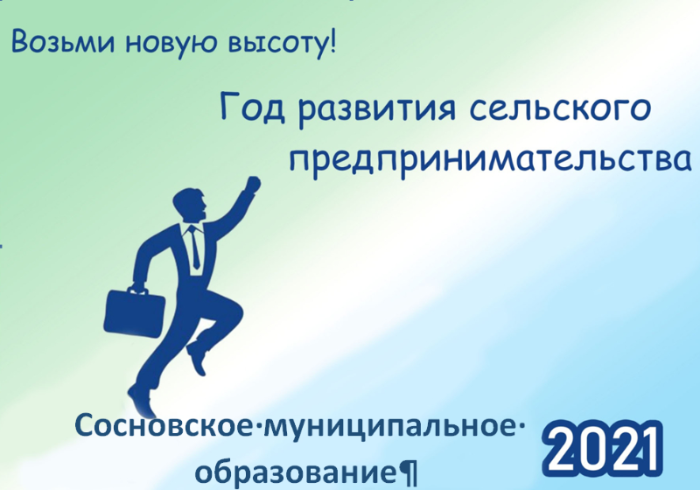 Год развития сельского предпринимательства